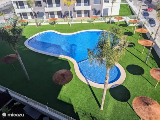 Casa Simba en España, Costa Blanca, Villamartin - penthouse La piscina compartida que está abierta todos los días de 08:00 a 22:00