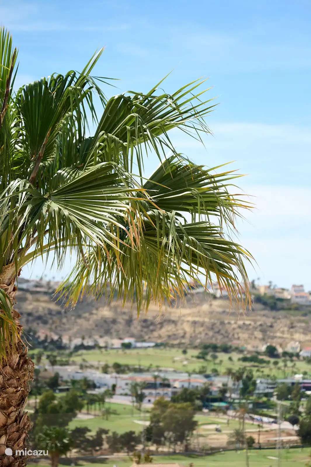 Vue depuis le toit-terrasse