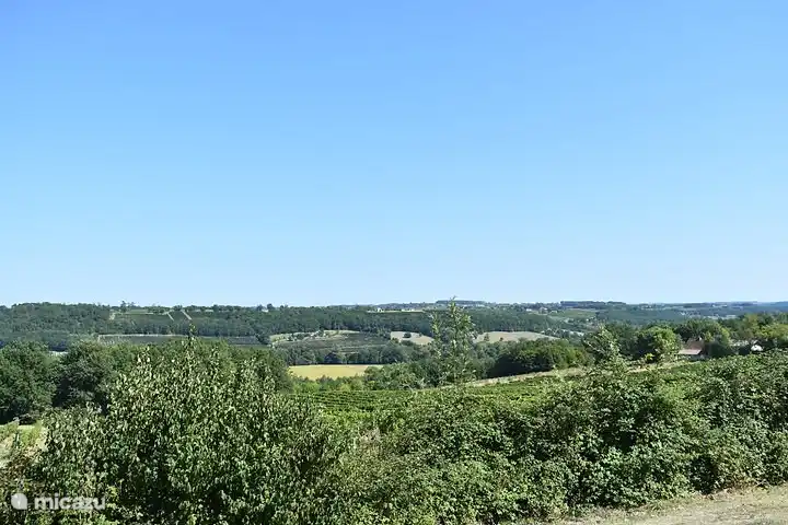 Blick auf die Weinberge