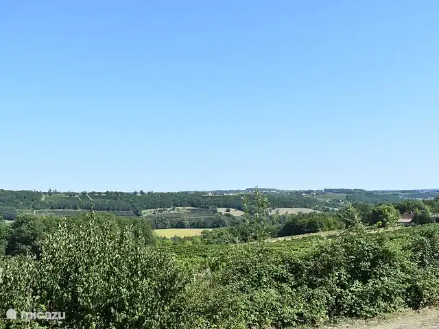 In het hart van de wijngaarden huren in Frankrijk, Dordogne, Gageac et Rouillac - vakantiehuis Uitzicht op de wijngaarden