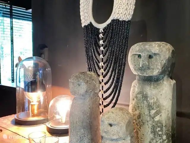 Location de Vacances Pays-Bas, Overijssel, Rheezerveen, maison de vacances - Cabane Bien-être Naguøll | 65 Atmosphère