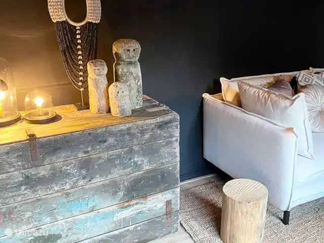 Location de Vacances Pays-Bas, Overijssel, Rheezerveen, maison de vacances - Cabane Bien-être Naguøll | 65 Atmosphère