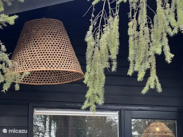 Location de Vacances Pays-Bas, Overijssel, Rheezerveen, maison de vacances - Cabane Bien-être Naguøll | 65 Jardin