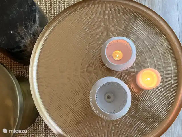 Location de Vacances Pays-Bas, Overijssel, Rheezerveen, maison de vacances - Cabane bien-être Nykøll | 66 Table Salon