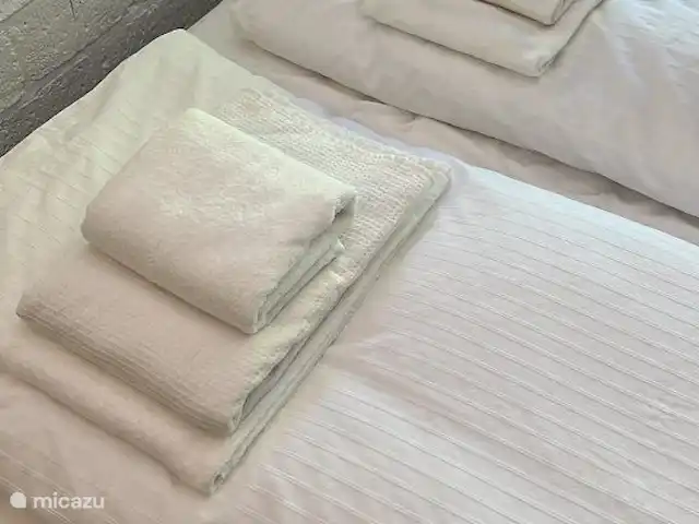 Location de Vacances Pays-Bas, Overijssel, Rheezerveen, maison de vacances - Cabane bien-être Nykøll | 66 Serviettes