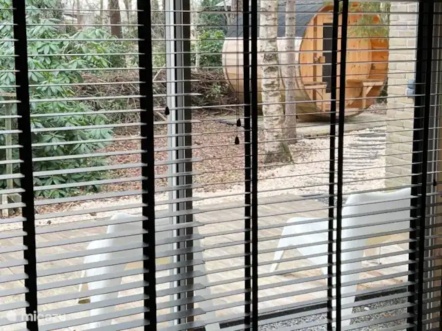 Location de Vacances Pays-Bas, Overijssel, Rheezerveen, maison de vacances - Cabane bien-être Nykøll | 66 Arrière-cour