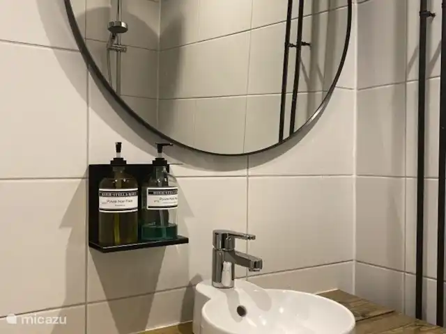 Location de Vacances Pays-Bas, Overijssel, Rheezerveen, maison de vacances - Cabane bien-être Nykøll | 66 Salle de Bains