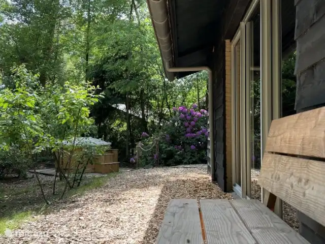 Location de Vacances Pays-Bas, Overijssel, Rheezerveen, maison de vacances - Cabane bien-être Nykøll | 66 Banc arrière-cour