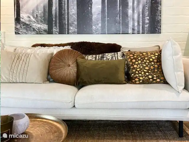 Location de Vacances Pays-Bas, Overijssel, Rheezerveen, maison de vacances - Cabane bien-être Nykøll | 66 Salon
