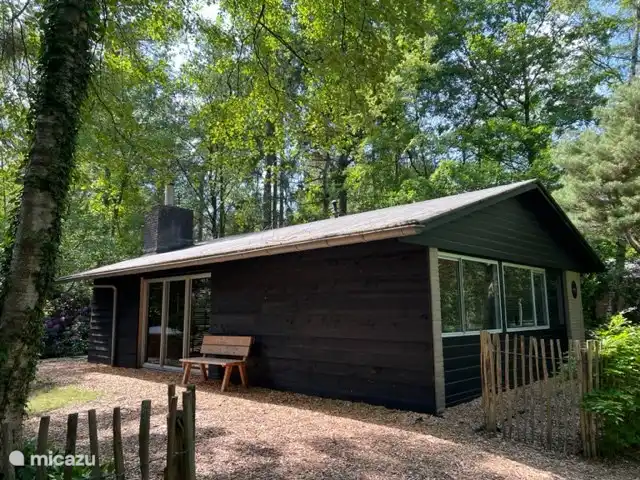 Location de Vacances Pays-Bas, Overijssel, Rheezerveen, maison de vacances - Cabane bien-être Nykøll | 66 Vue latérale