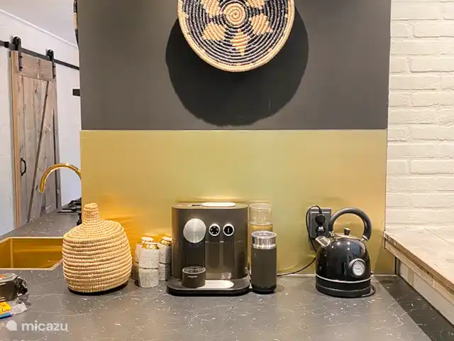 Location de Vacances Pays-Bas, Overijssel, Rheezerveen, maison de vacances - Cabane bien-être Nykøll | 66 Cuisine