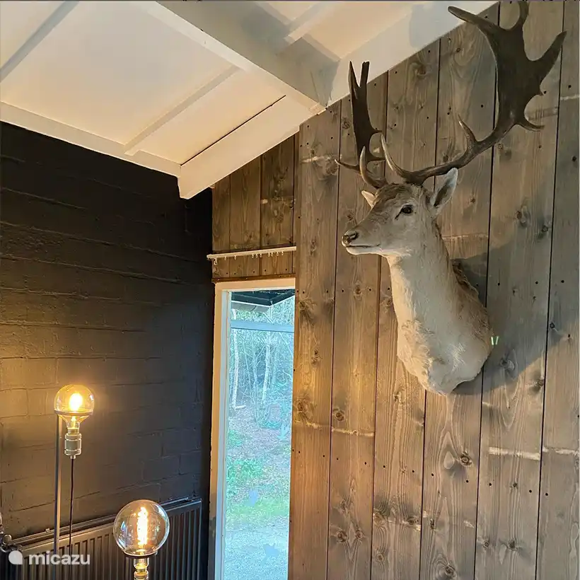 Stimmungsvolles Foto