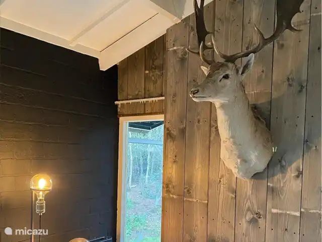 Location de Vacances Pays-Bas, Overijssel, Rheezerveen, maison de vacances - Cabane bien-être Nykøll | 66 Photo d’ambiance