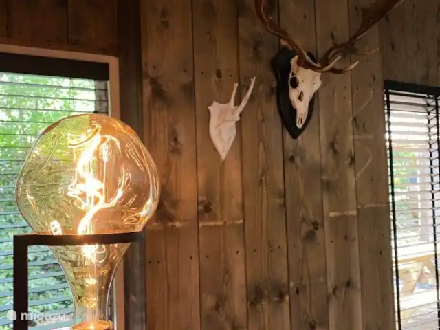 Location de Vacances Pays-Bas, Overijssel, Rheezerveen, maison de vacances - Cabane bien-être Nykøll | 66 Photo d’ambiance