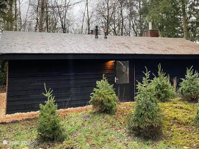 Location de Vacances Pays-Bas, Overijssel, Rheezerveen, maison de vacances - Cabane bien-être Nysekø | 67 Location de Vacances Pays-Bas, Overijssel, Rheezerveen, maison de vacances - Cabane bien-être Nysekø | 67