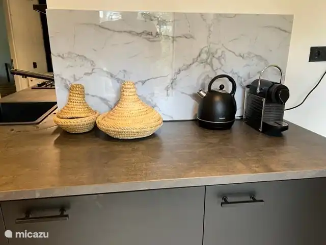 Location de Vacances Pays-Bas, Overijssel, Rheezerveen, maison de vacances - Cabane bien-être Nysekø | 67 Cuisine