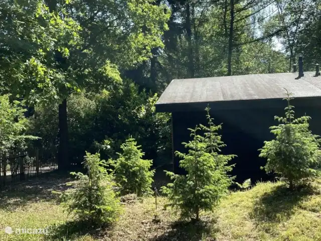 Location de Vacances Pays-Bas, Overijssel, Rheezerveen, maison de vacances - Cabane bien-être Nysekø | 67 Cabine avec vue latérale