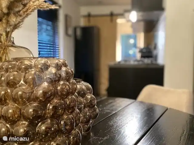 Location de Vacances Pays-Bas, Overijssel, Rheezerveen, maison de vacances - Cabine Nørghel | 45 Ambiance Cuisine