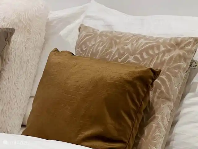 Location de Vacances Pays-Bas, Overijssel, Rheezerveen, maison de vacances - Cabine Nørghel | 45 Coussins de salon