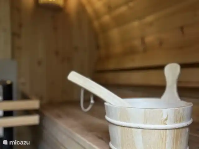 Location de Vacances Pays-Bas, Overijssel, Rheezerveen, maison de vacances - Cabine Nørghel | 45 Atmosphère Sauna