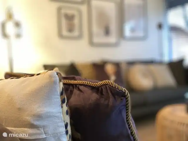 Location de Vacances Pays-Bas, Overijssel, Rheezerveen, maison de vacances - Cabine Nørghel | 45 Coussins de salon