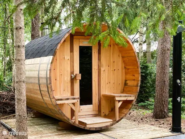 Location de Vacances Pays-Bas, Overijssel, Rheezerveen, maison de vacances - Cabine Nørghel | 45 Sauna