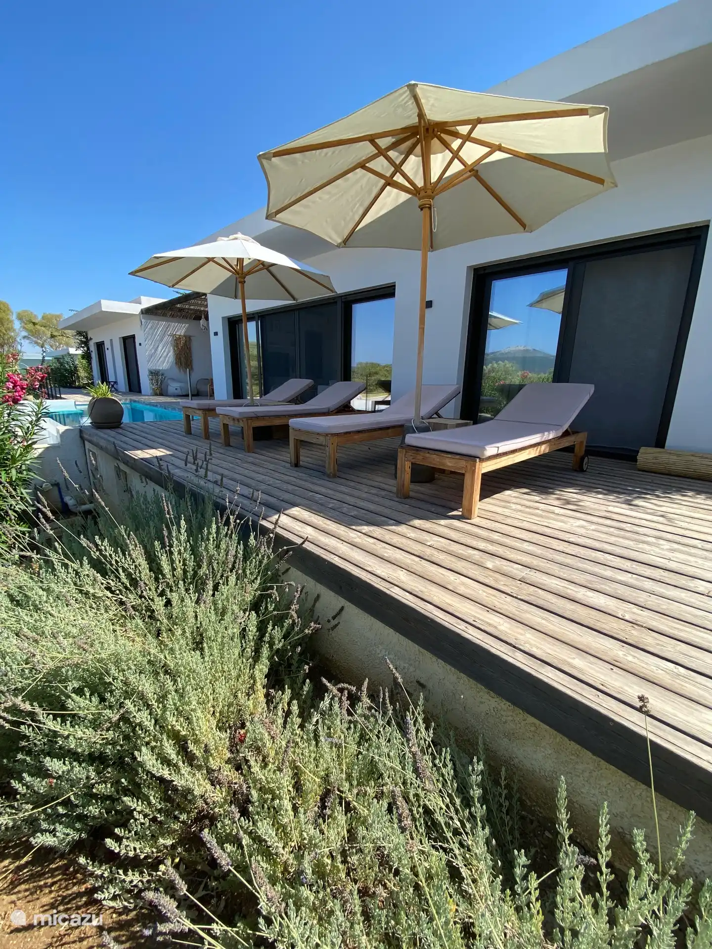 Sun loungers and garden view