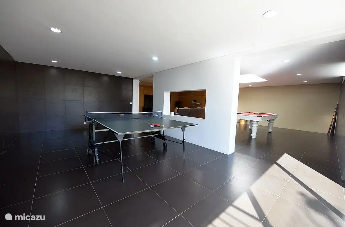Table de ping-pong