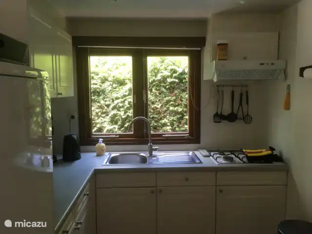 Chalet Veluwebos avec bain à remous. | Pays-Bas, Gueldre, Wells - chalet cuisine