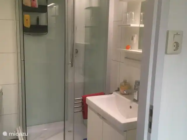 Chalet Veluwebos avec bain à remous. | Pays-Bas, Gueldre, Wells - chalet Salle de bains