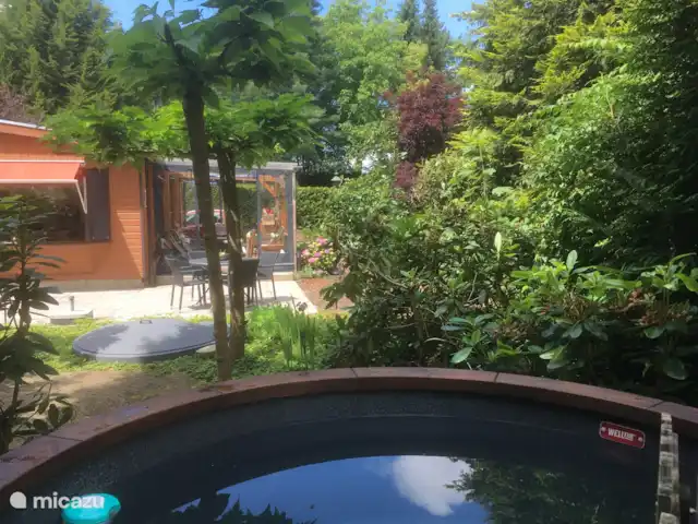 Chalet Veluwebos avec bain à remous. | Pays-Bas, Gueldre, Wells - chalet Vue depuis le bain à remous