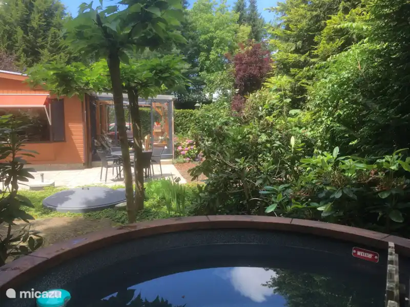 Veluweboshuisje met Hottub. huren in Nederland, Gelderland, Putten - Chalet Veluweboshuisje met Hottub. huren in Nederland, Gelderland, Putten - Chalet