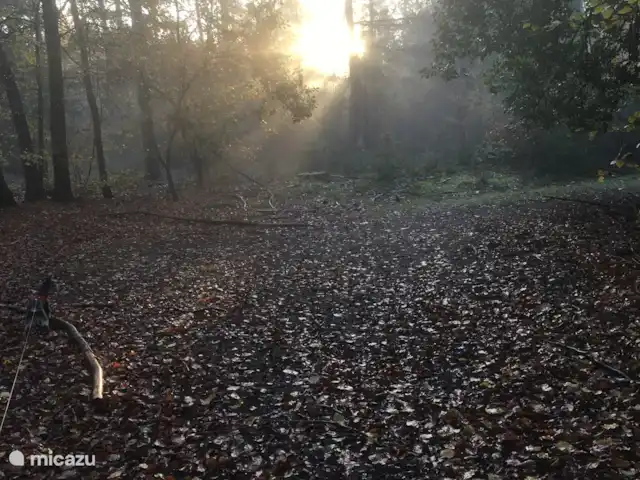 Chalet Veluwebos avec bain à remous. | Pays-Bas, Gueldre, Wells - chalet Les bois