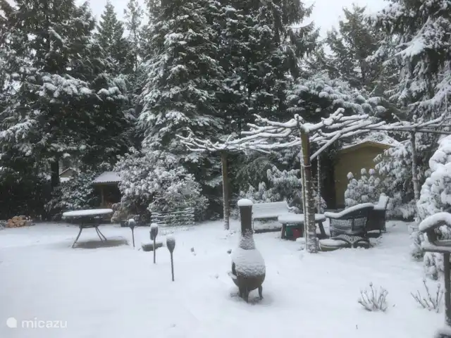 Chalet Veluwebos avec bain à remous. | Pays-Bas, Gueldre, Wells - chalet Hiver