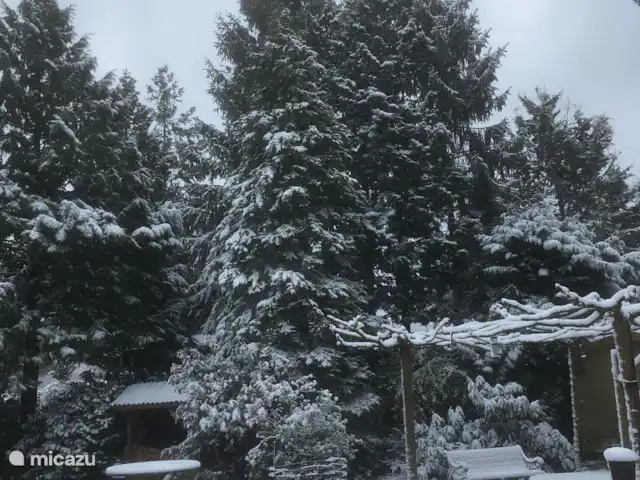 Chalet Veluwebos avec bain à remous. | Pays-Bas, Gueldre, Wells - chalet C'est aussi beau en hiver