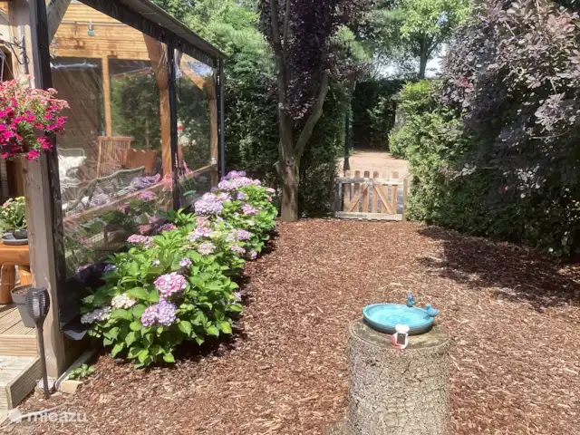 Chalet Veluwebos avec bain à remous. | Pays-Bas, Gueldre, Wells - chalet Voici le revêtement de terrasse avec l'entrée de notre jardin de 450m2