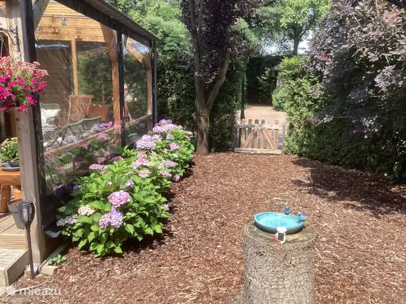 Veluweboshuisje met Hottub. huren in Nederland, Gelderland, Putten - Chalet Veluweboshuisje met Hottub. huren in Nederland, Gelderland, Putten - Chalet