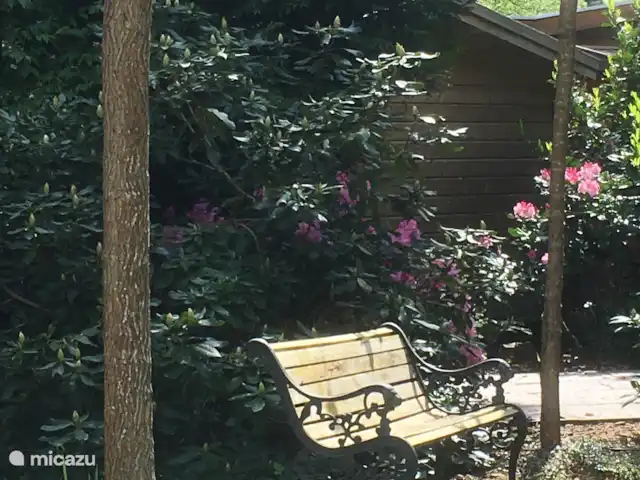 Chalet Veluwebos avec bain à remous. | Pays-Bas, Gueldre, Wells - chalet Jardin