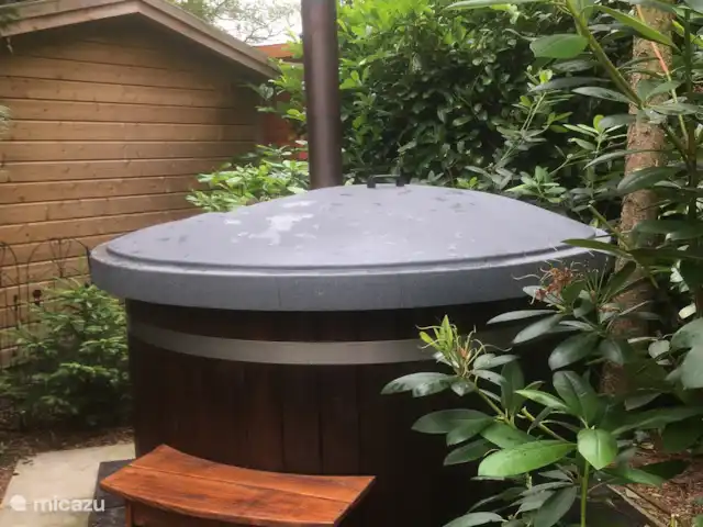 Chalet Veluwebos avec bain à remous. | Pays-Bas, Gueldre, Wells - chalet Remous