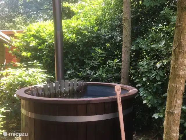 Chalet Veluwebos avec bain à remous. | Pays-Bas, Gueldre, Wells - chalet Remous