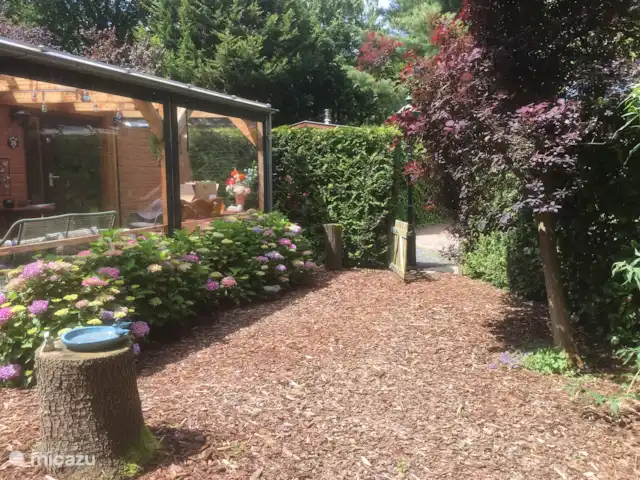 Chalet Veluwebos avec bain à remous. | Pays-Bas, Gueldre, Wells - chalet Jardin