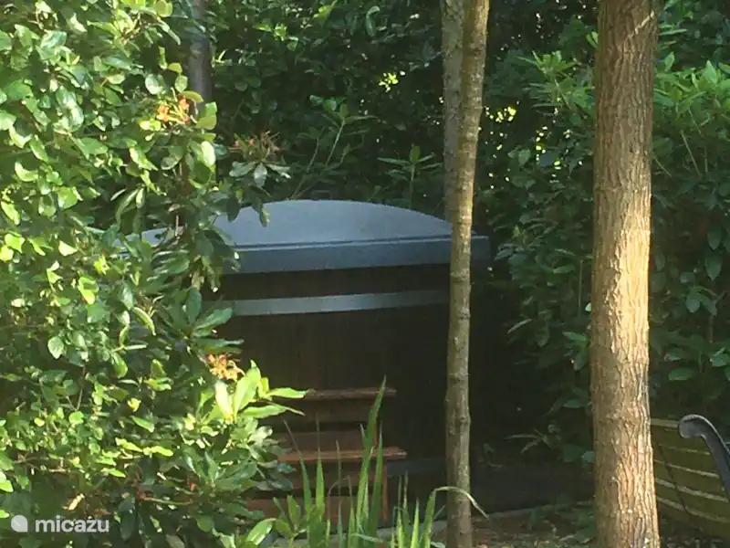 Veluweboshuisje met Hottub. huren in Nederland, Gelderland, Putten - Chalet Veluweboshuisje met Hottub. huren in Nederland, Gelderland, Putten - Chalet