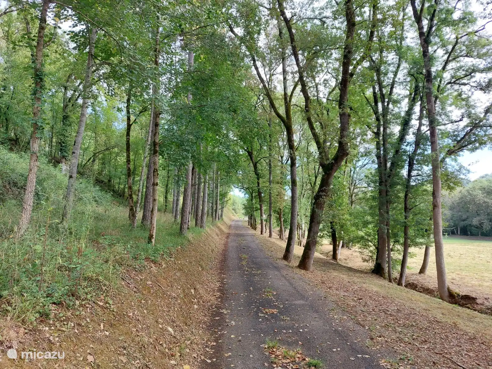 Eigentlich die Zufahrtsstraße.