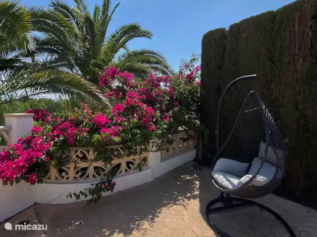 Casa Prima huren in Spanje, Costa Blanca, Alfáz del Pi - appartement Helemaal achterin de tuin wacht een heerlijk plekje op je: een comfortabele hangstoel waar je kunt genieten van de laatste zonnestralen. Omringd door de altijd prachtige bougainville, is dit het ultieme plekje om even helemaal tot rust te komen. ??????