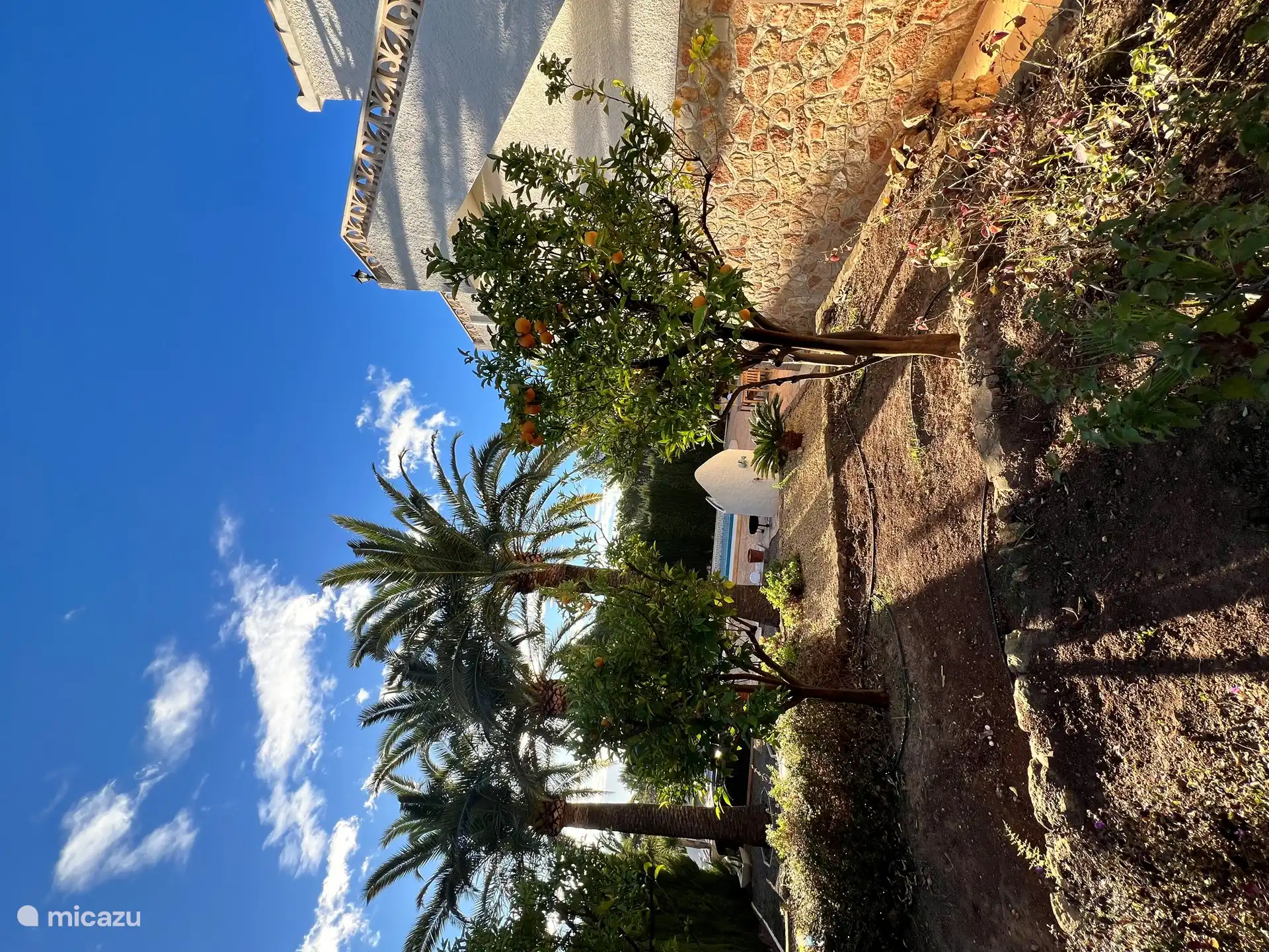 Los árboles frutales del jardín no solo proporcionan un ambiente mediterráneo, sino también una sorpresa de buen gusto. ¡Recién recogido siempre sabe mejor!