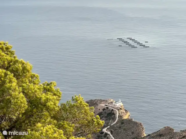 Casa Prima huren in Spanje, Costa Blanca, Alfáz del Pi - appartement Voor de wat meer avontuurlijke wandelaars, kan je door dit park ook de 4 uur durende hike naar Benidorm maken, langs adembenemende kliffen en prachtige natuur.