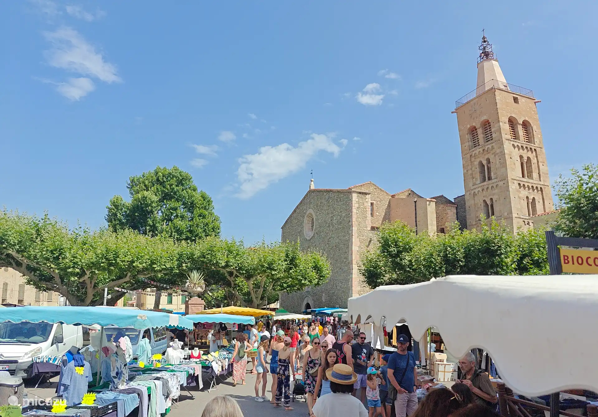 The Tuesday market in Prades, the largest in the Pyrenees Orièntales