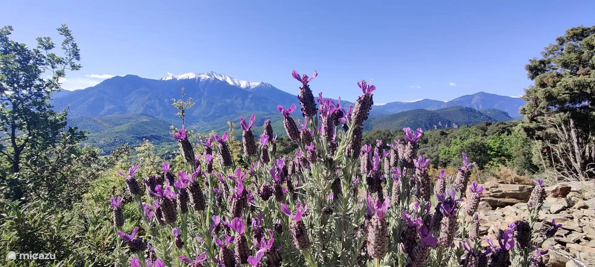 Der Canigou (2.794 m Höhe)