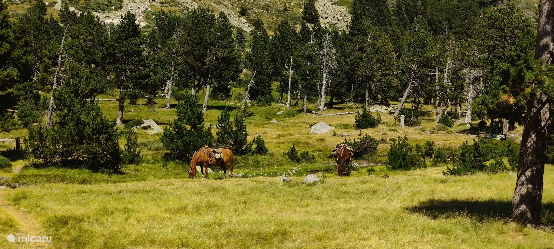 Spaziergang vom Dorf aus in das Naturschutzgebiet Nohèdes