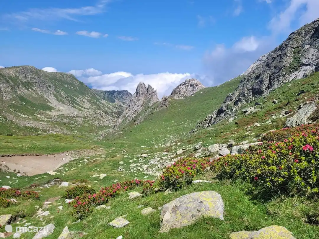 Hiking to the Madres, higher up in the valley